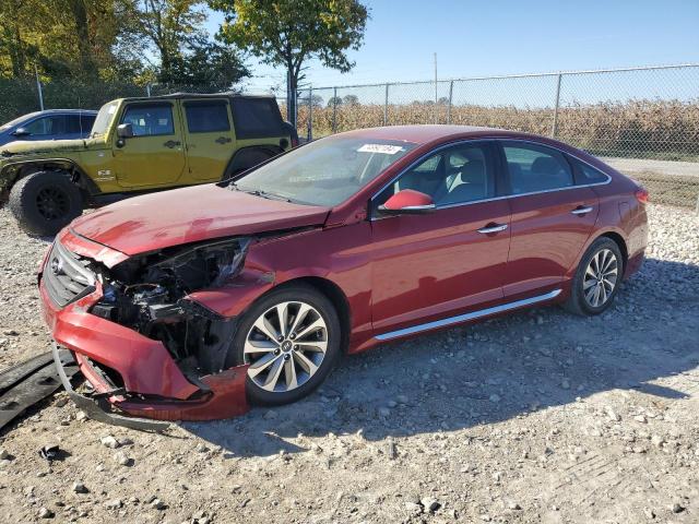 2016 HYUNDAI SONATA SPO VIN: 5NPE34AF9GH354488