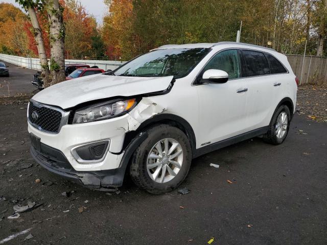 2017 KIA SORENTO LX VIN: 5XYPGDA53HG309866
