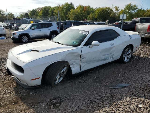 2018 DODGE CHALLENGER VIN: 2C3CDZAG1JH118464