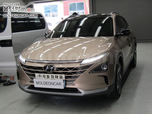 2019 HYUNDAI NEXO VIN: KMHJ8816FKU002584