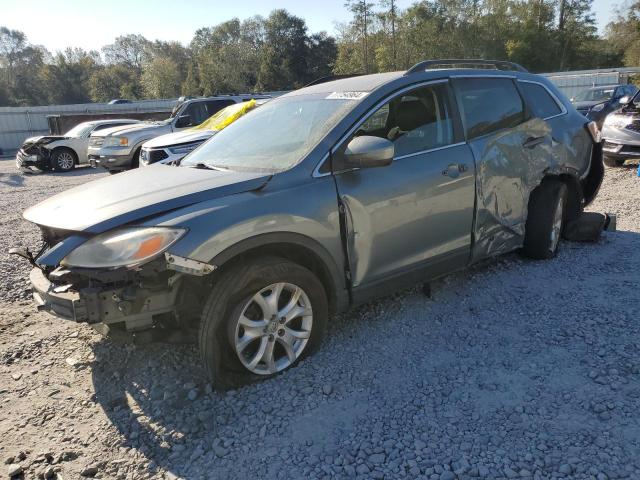 2011 MAZDA CX-9 VIN: JM3TB2BA8B0307676