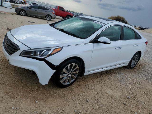 2017 HYUNDAI SONATA SPO VIN: 5NPE34AF8HH450677