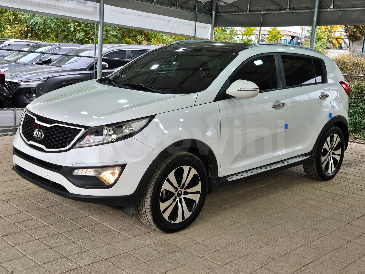 2013 KIA SPORTAGE VIN: KNAPC813BDK423628