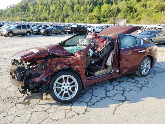 2010 NISSAN MAXIMA S VIN: 1N4AA5AP4AC825264