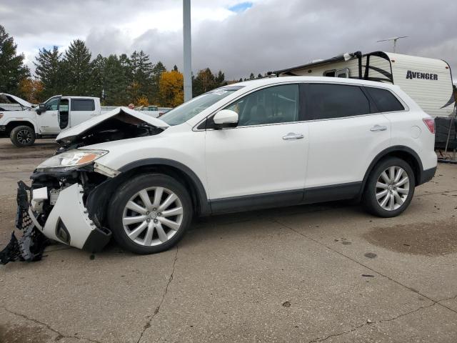 2010 MAZDA CX-9 VIN: JM3TB2MV7A0227512