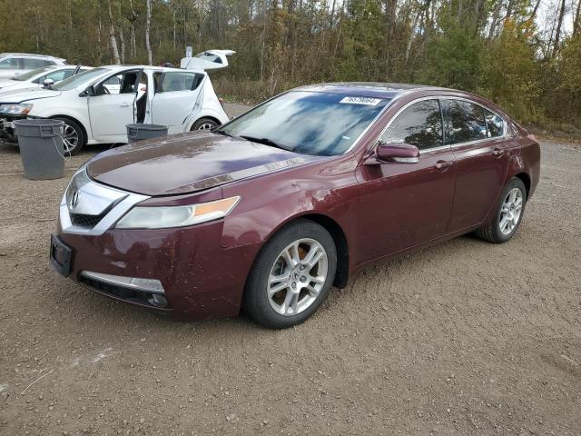 2009 ACURA TL VIN: 19UUA862X9A800531