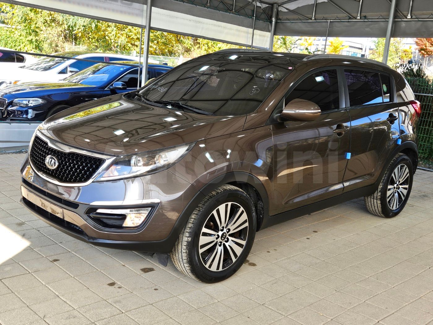 2014 KIA SPORTAGE VIN: KNAPC813BEK527838