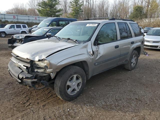 2003 CHEVROLET TRAILBLAZE VIN: 1GNDT13S132100748