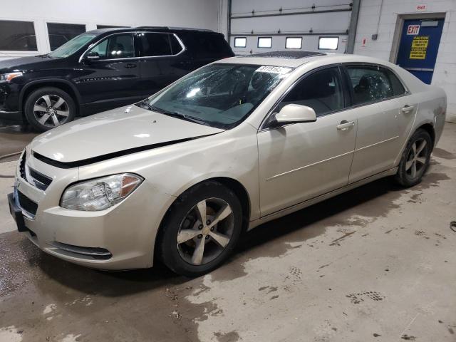2011 CHEVROLET MALIBU 1LT VIN: 1G1ZC5E19BF255039
