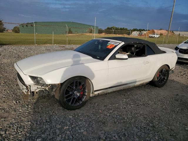 2013 FORD MUSTANG VIN: 1ZVBP8EM4D5263547
