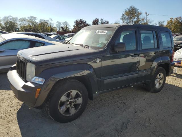 2012 JEEP LIBERTY SP VIN: 1C4PJMAK4CW173024