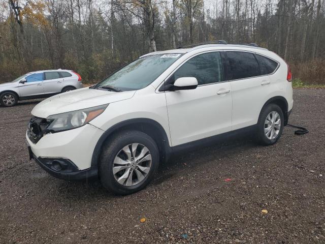 2013 HONDA CR-V EXL VIN: 2HKRM4H71DH109113