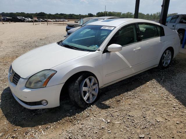 2004 NISSAN MAXIMA SE VIN: 1N4BA41E94C913325