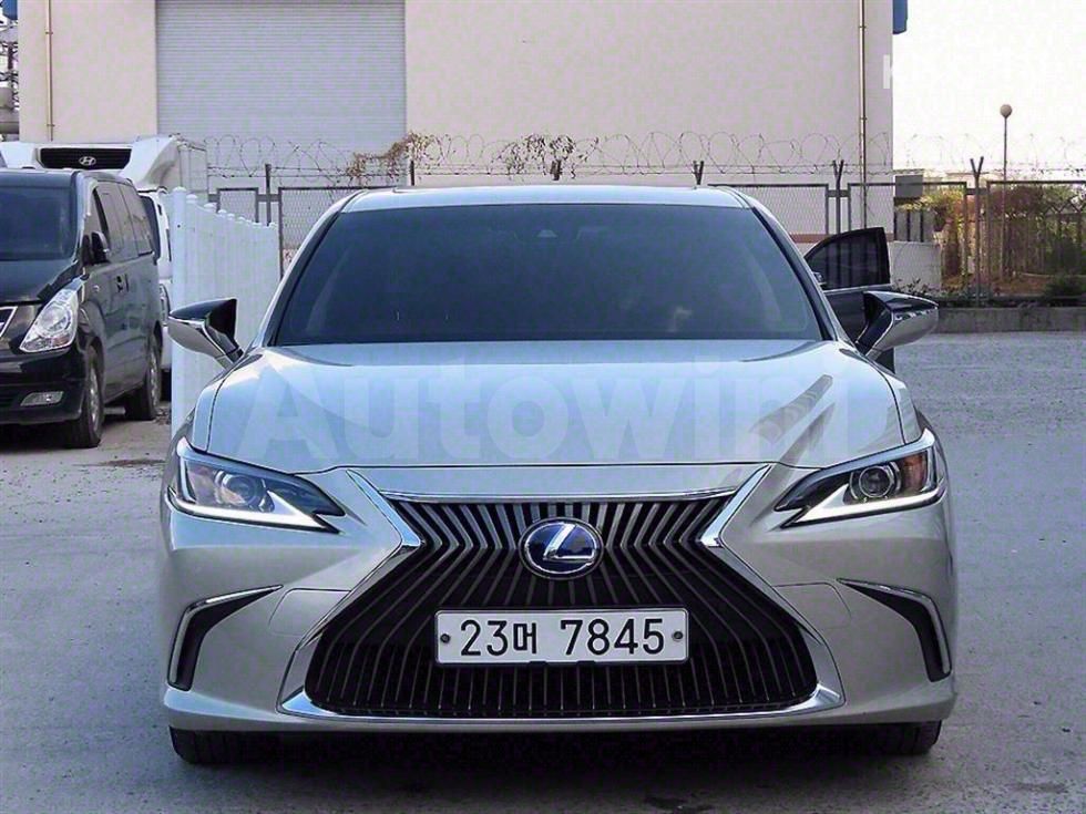 2019 LEXUS ES VIN: JTHB21B11K2016325