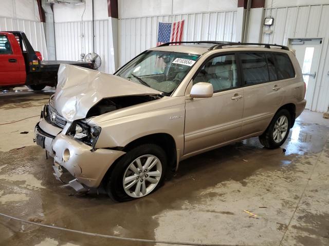 2006 TOYOTA HIGHLANDER VIN: JTEEW21AX60013107