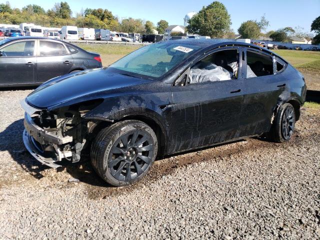 2023 TESLA MODEL Y VIN: 7SAYGDEEXPA024036