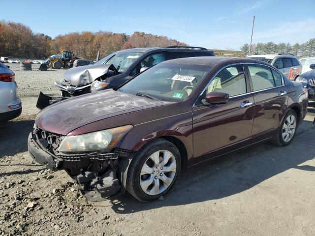 2010 HONDA ACCORD EXL VIN: 5KBCP3F8XAB018047