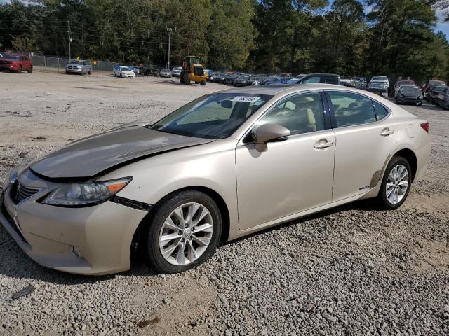 2013 LEXUS ES 300H VIN: JTHBW1GG5D2037957