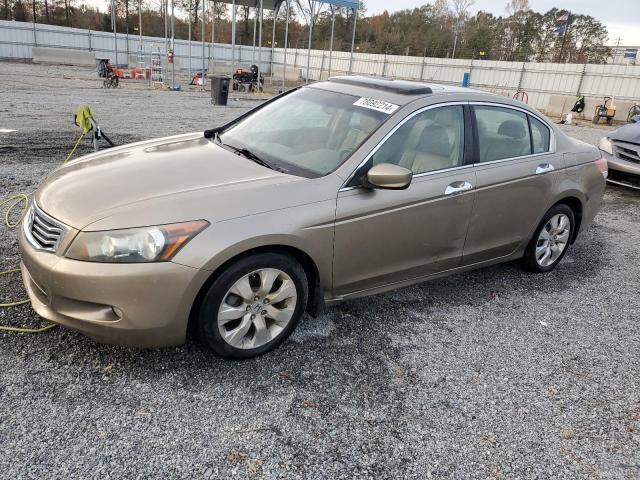 2009 HONDA ACCORD EXL VIN: 1HGCP36839A014801