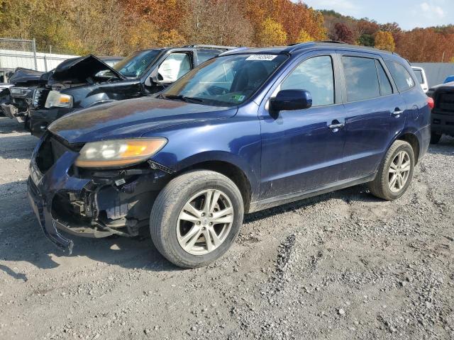2010 HYUNDAI SANTA FE L VIN: 5NMSKDAG8AH375089