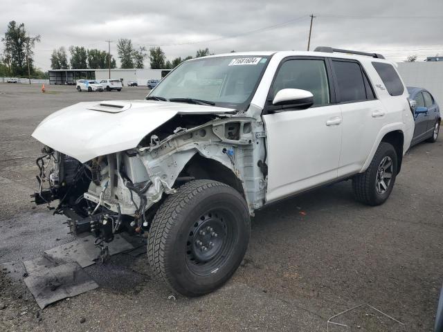 2019 TOYOTA 4RUNNER SR VIN: JTEBU5JR2K5669167