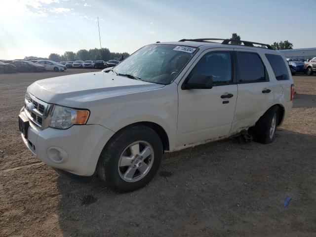 2011 FORD ESCAPE XLT VIN: 1FMCU0D76BKB61898