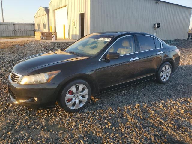 2010 HONDA ACCORD EXL VIN: 5KBCP3F89AB004513