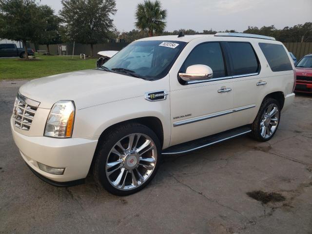 2013 CADILLAC ESCALADE H VIN: 1GYS4EEJ3DR120768