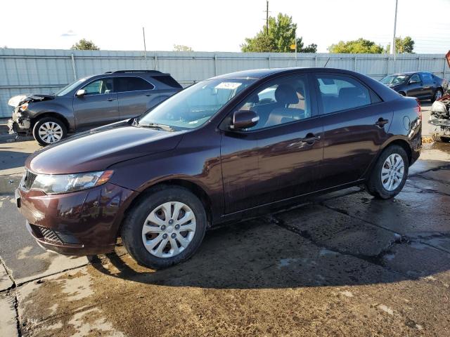 2010 KIA FORTE EX VIN: KNAFU4A2XA5116846