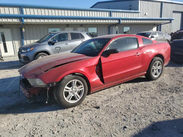 2013 FORD MUSTANG VIN: 1ZVBP8AM3D5242923