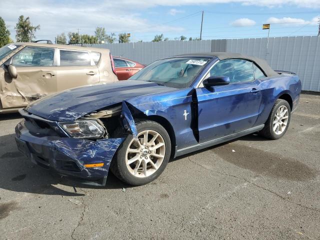 2010 FORD MUSTANG VIN: 1ZVBP8EN1A5155729