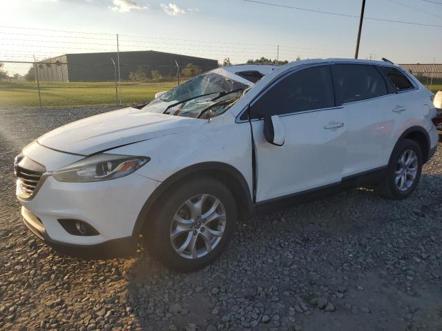 2014 MAZDA CX-9 TOURI VIN: JM3TB2CA3E0445239