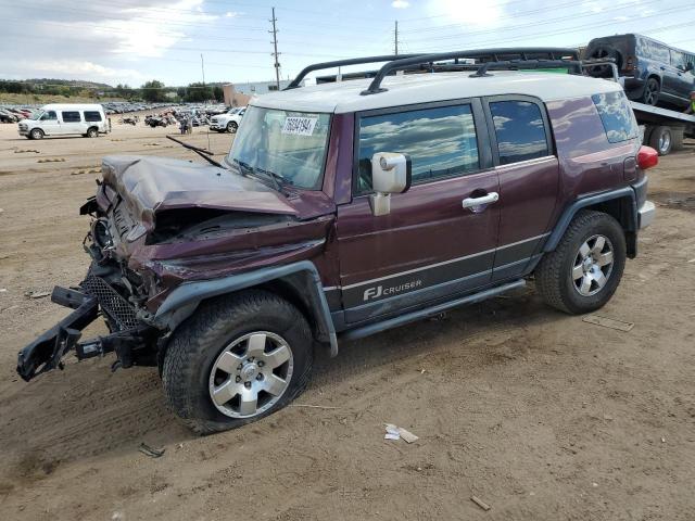 2007 TOYOTA FJ CRUISER VIN: JTEBU11F670022161