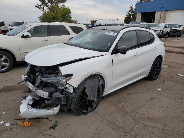 2021 ALFA ROMEO STELVIO TI VIN: ZASPAKBN3M7D18313