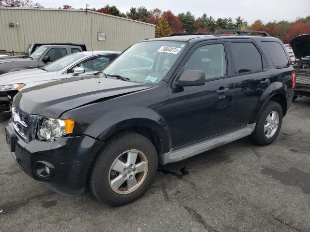 2011 FORD ESCAPE XLT VIN: 1FMCU0D72BKA66495