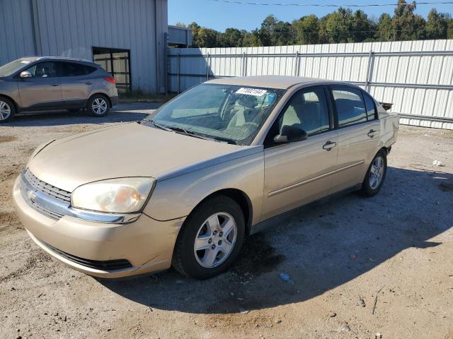 2005 CHEVROLET MALIBU LS VIN: 1G1ZT52825F231915