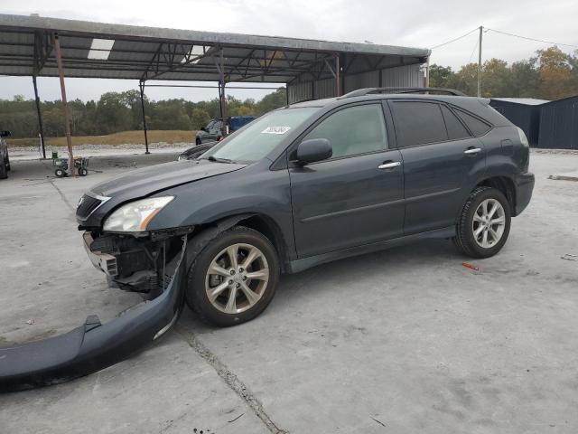 2009 LEXUS RX 350 VIN: 2T2GK31U99C082045