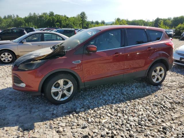 2014 FORD ESCAPE SE VIN: 1FMCU0GXXEUB81477