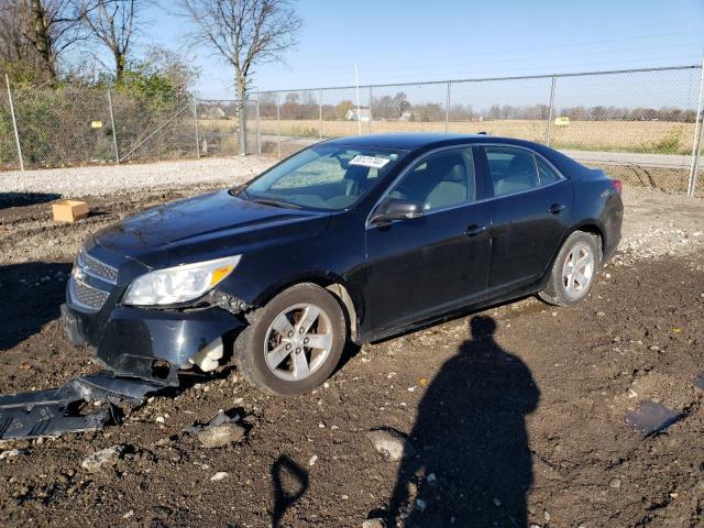 2013 CHEVROLET MALIBU 1LT VIN: 1G11C5SA5DU124562