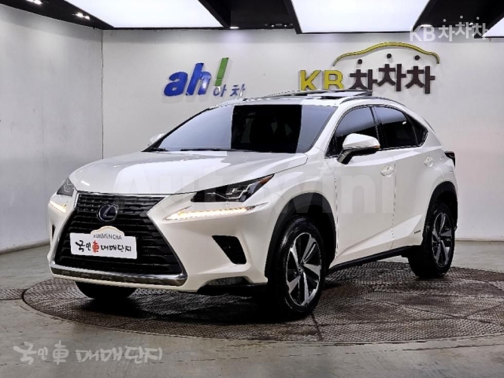 2019 LEXUS NX VIN: JTJBJRBZ2K2117086