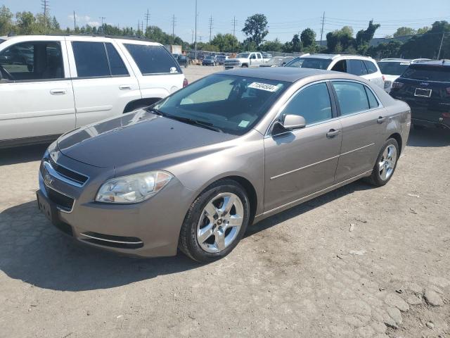 2010 CHEVROLET MALIBU 1LT VIN: 1G1ZC5EB6AF299118