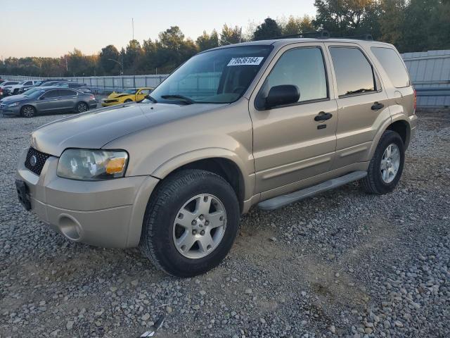 2007 FORD ESCAPE XLT VIN: 1FMYU03187KB52257