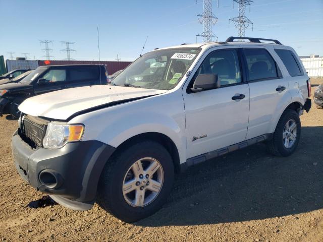 2009 FORD ESCAPE HYB VIN: 1FMCU59359KA71297