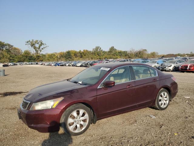 2010 HONDA ACCORD EXL VIN: 1HGCP2F89AA107384