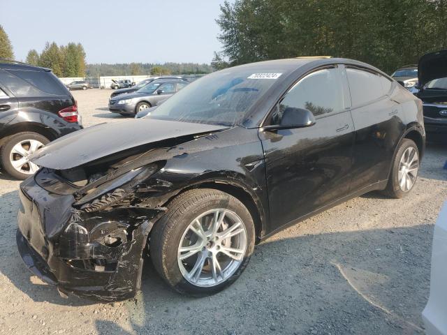 2023 TESLA MODEL Y VIN: 7SAYGDEEXPF756024