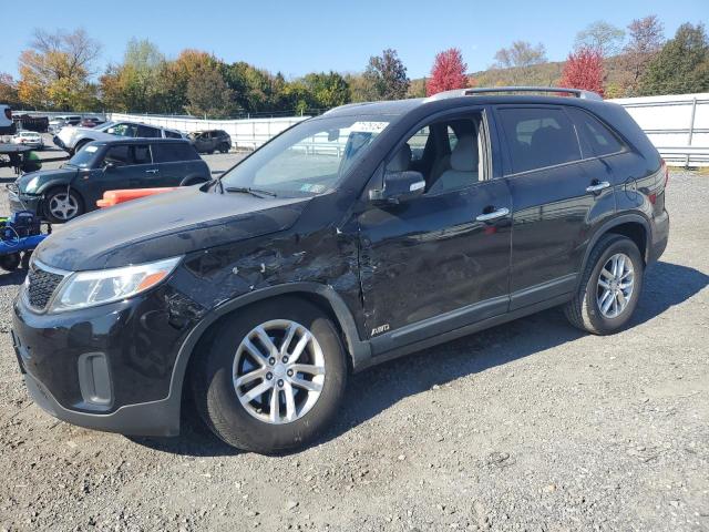 2014 KIA SORENTO LX VIN: 5XYKTDA79EG474453